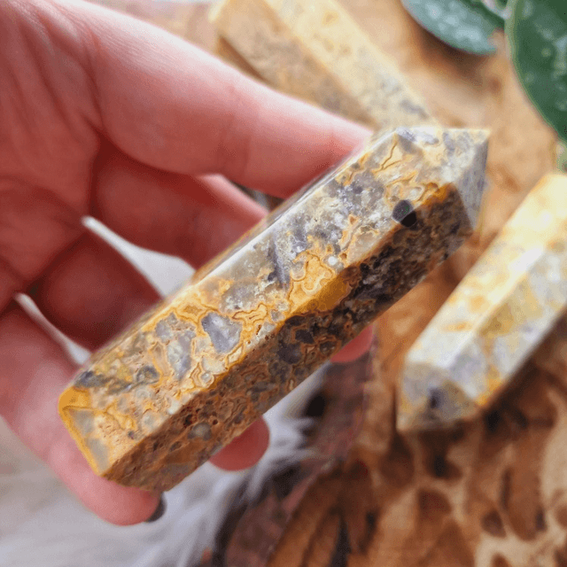 Crazy Lace Agate Point 