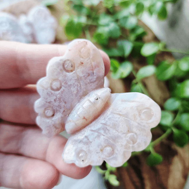 Flower Agate Butterfly 
