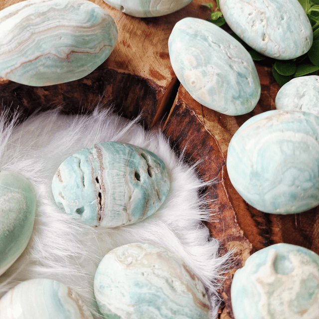 Blue Aragonite palm 