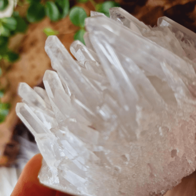 Clear Quartz Cluster 308g