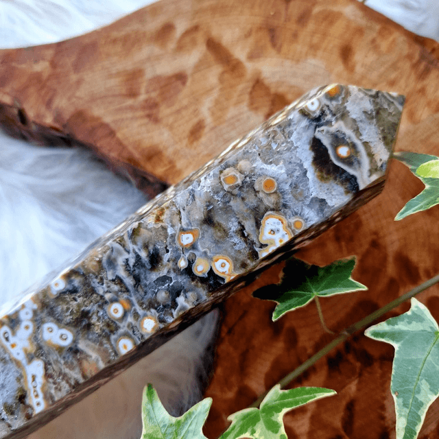 Ocean Jasper point 628g
