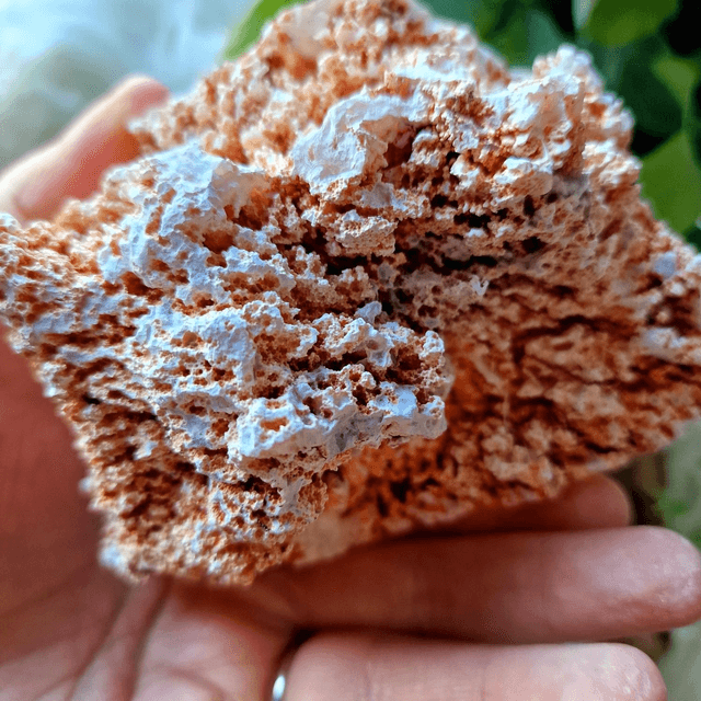 Agate Botryoidal Raw Specimen 