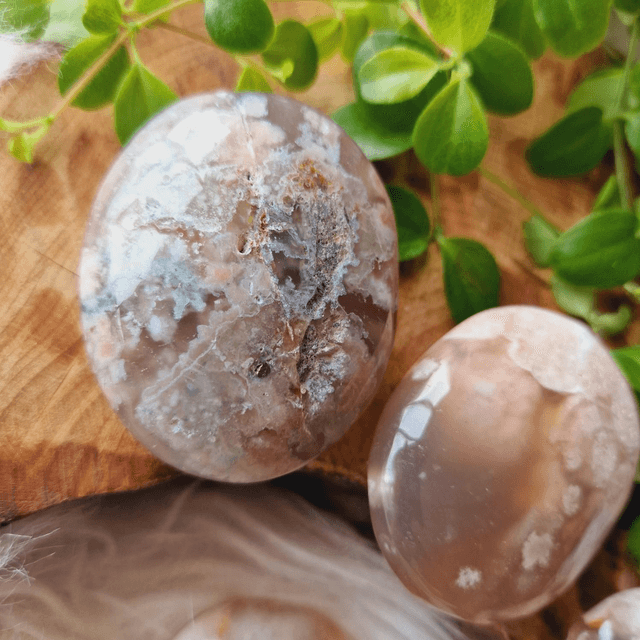 Flower Agate Palm