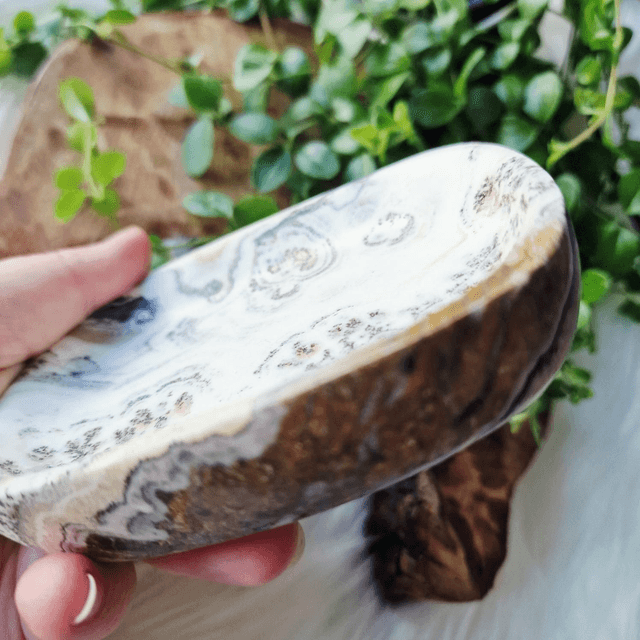 Dendritic Calcite Bowl 