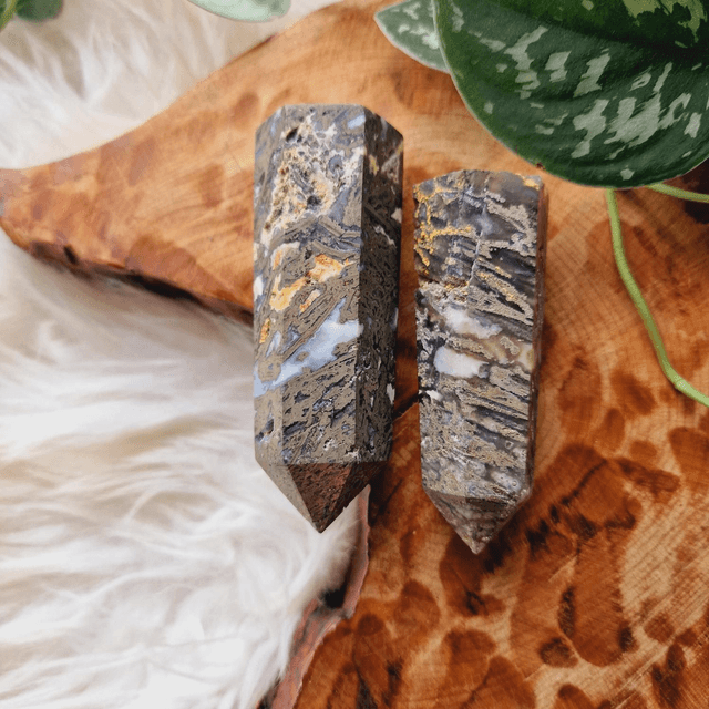 Moss and Pyrite Point 