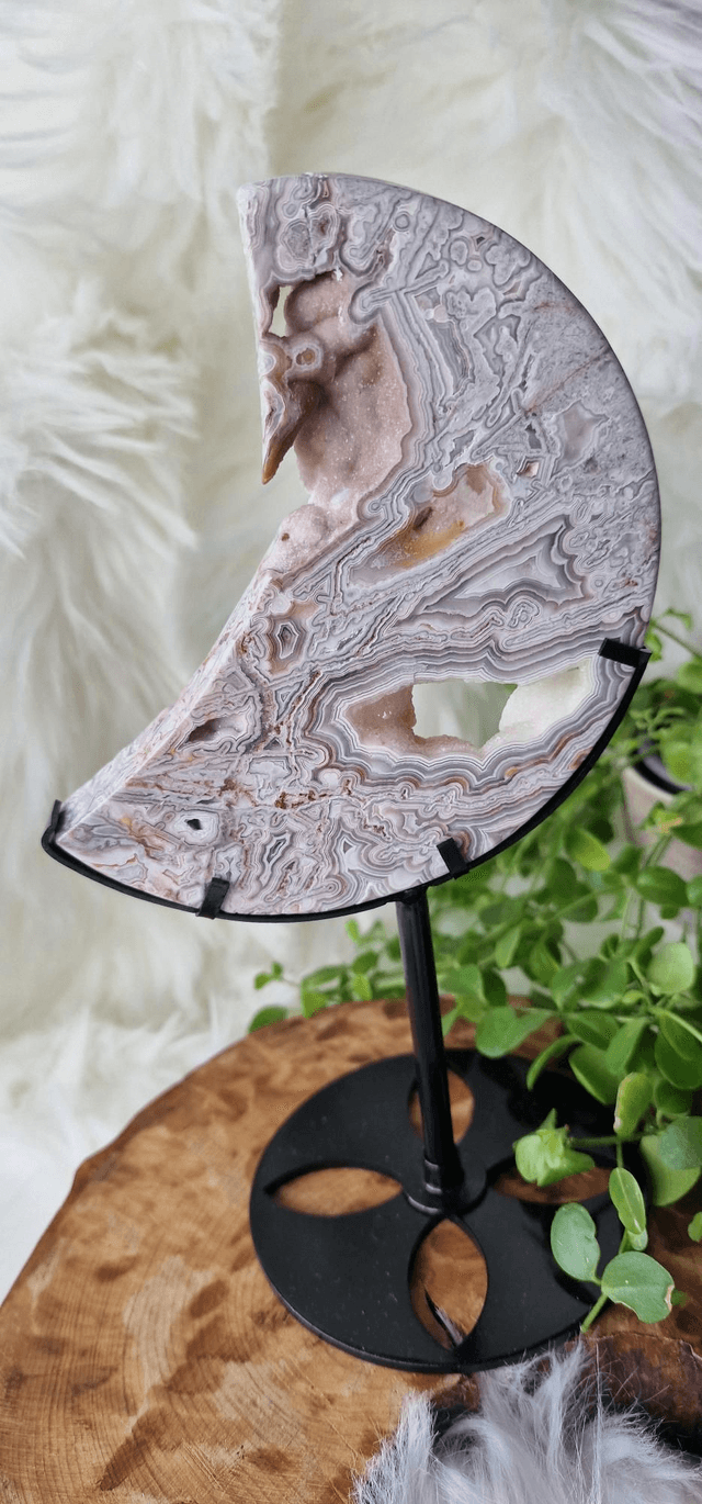 Mexican Crazy Lace Moon on stand 