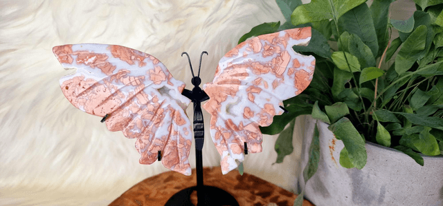 Pink Candy Floss Agate Butterfly Wings with druzy on stand