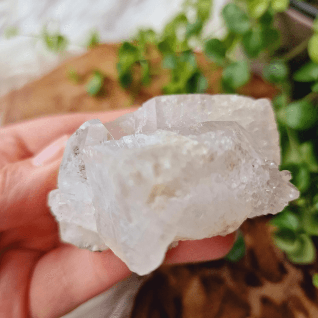 Diamond Apophyllite Cluster 118g