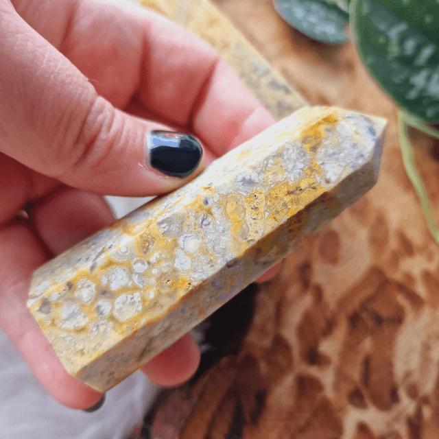 Crazy Lace Agate Point 