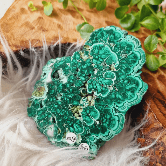 Malachite Slab 310g
