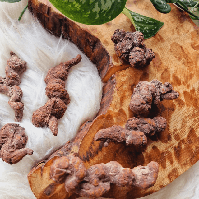 Coprolite "Fossilised Dinosaur Poo"