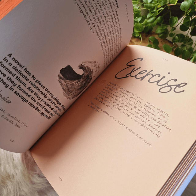 Write Every Day by Harriet Griffey
