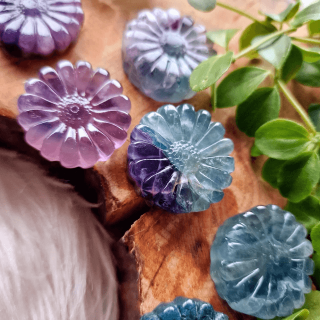 Daisy's Mixed Materials