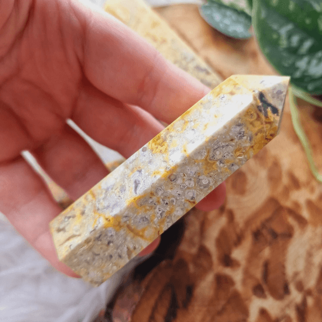 Crazy Lace Agate Point 