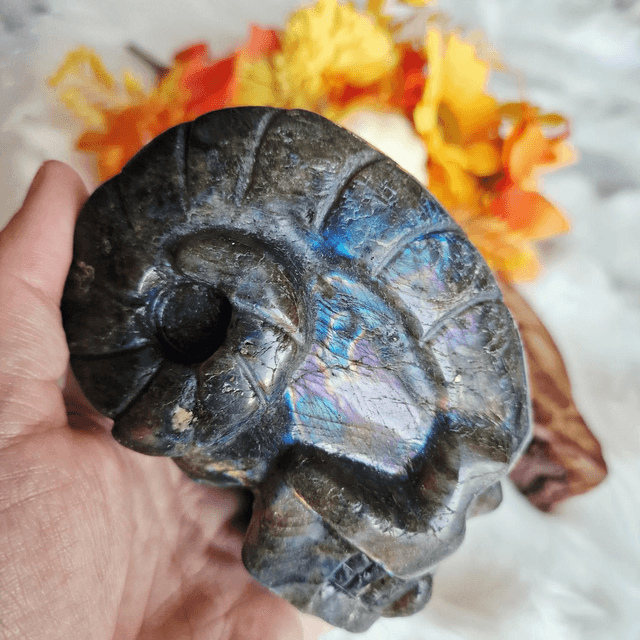 Labradorite ram skull 1100g 