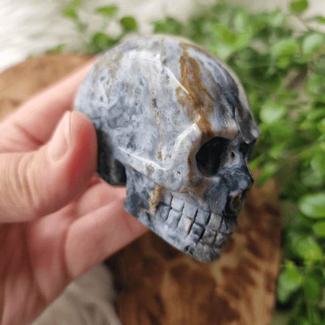 Ocean Jasper skull