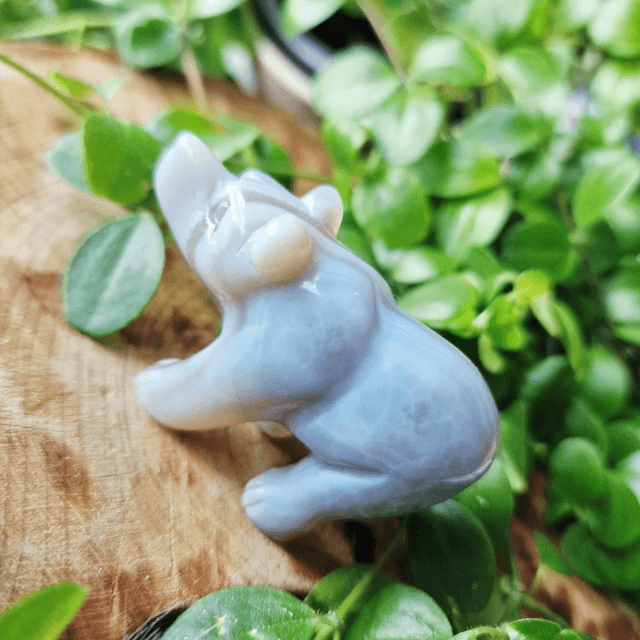 Agate Small Bear 