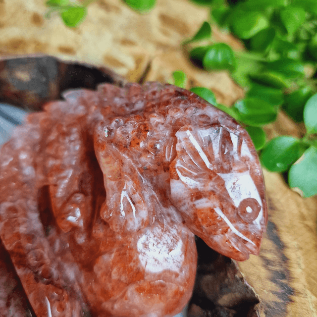 Fire Quartz Lizard 312g