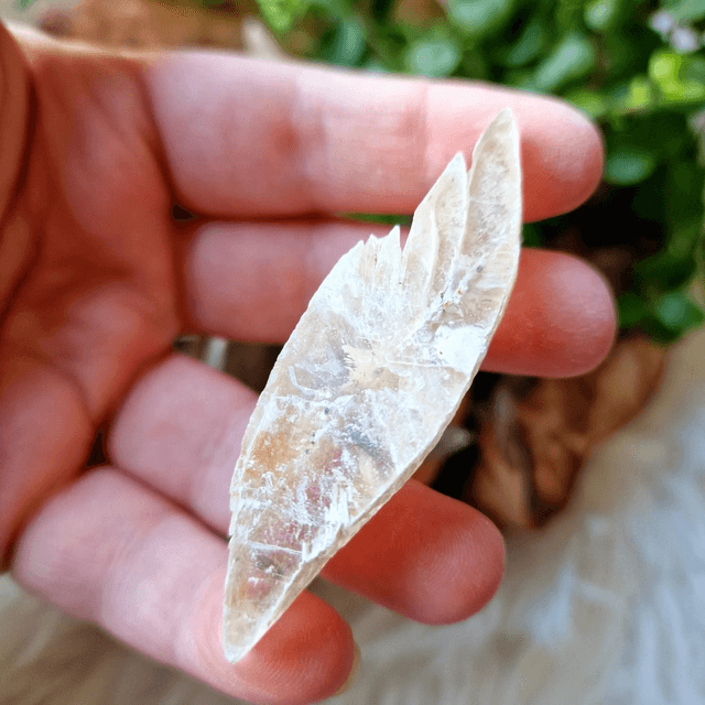 Selenite Leaf Part Raw 