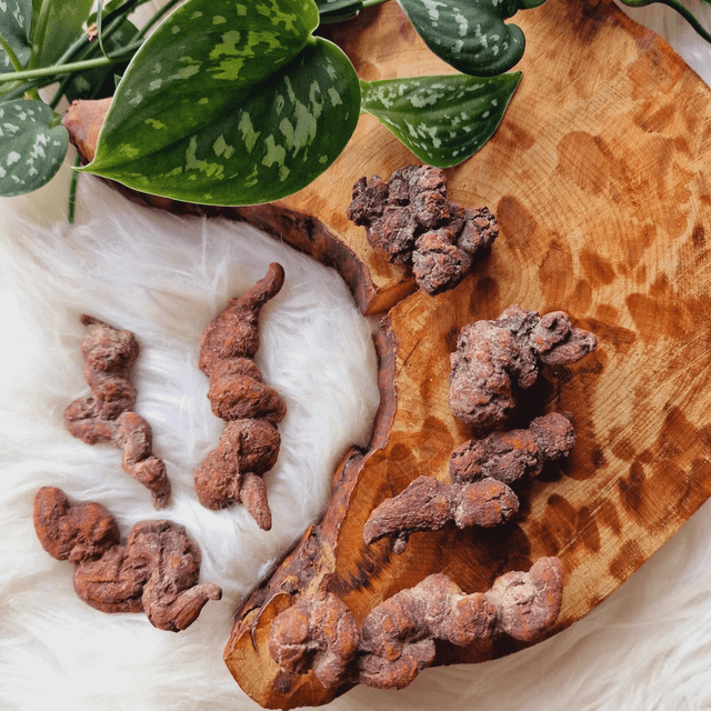 Coprolite "Fossilised Dinosaur Poo"