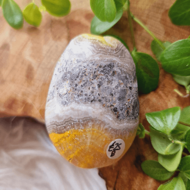 Bumblebee Jasper Palm