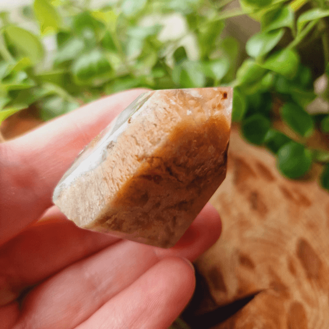 Garden Quartz Small Point 47g