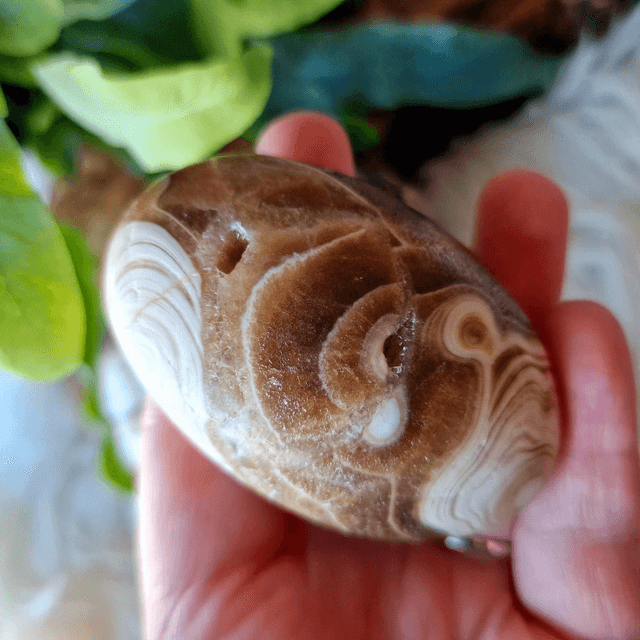 Chocolate Calcite Palm