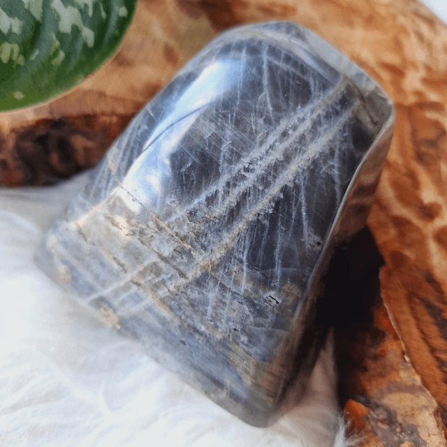 Labradorite Freeform 566g
