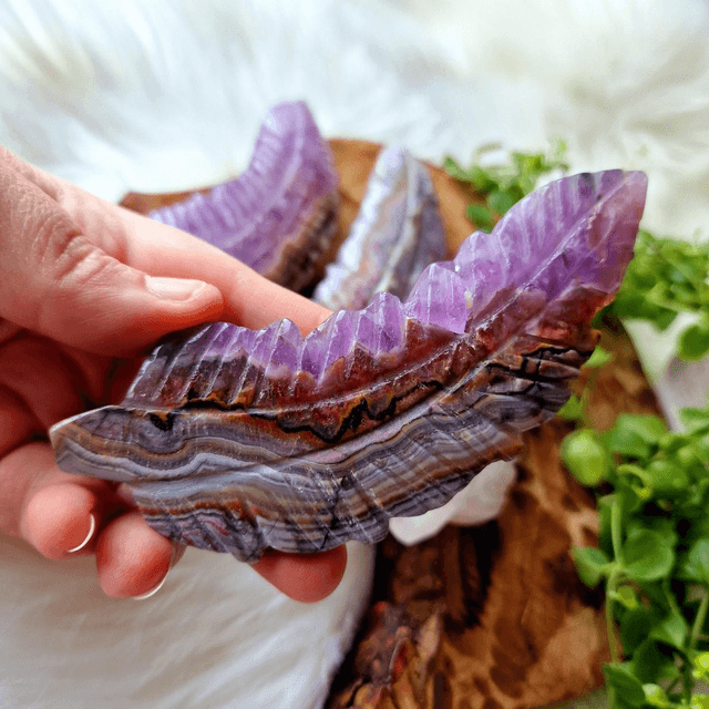 Amethyst Agate Feather 