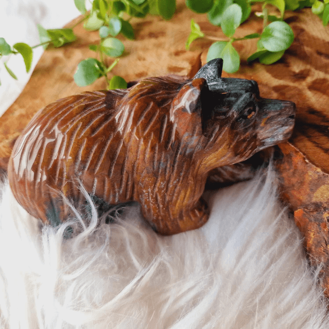 Ocean Jasper Bear 452g