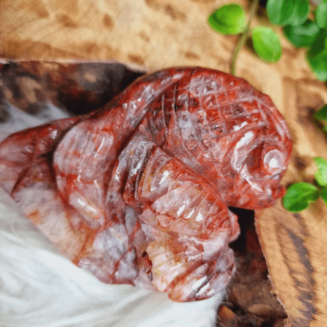 Fire Quartz Gold Fish 336g
