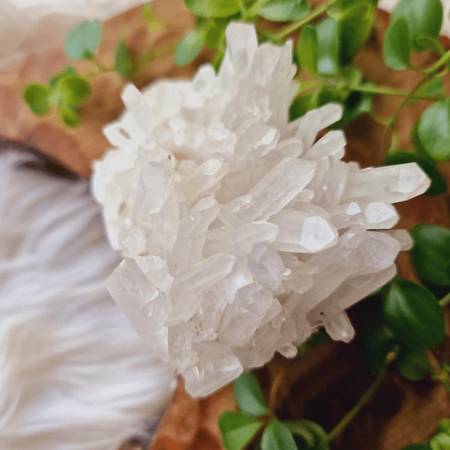 Clear Quartz Cluster 308g
