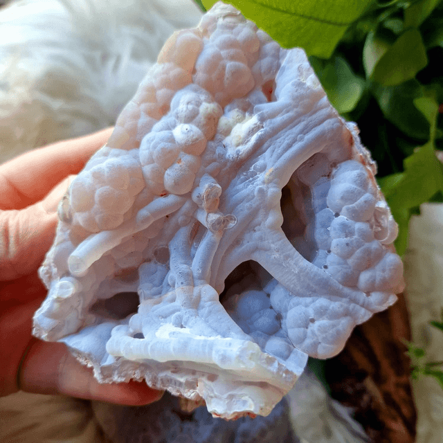 Agate Botryoidal Raw Specimen 