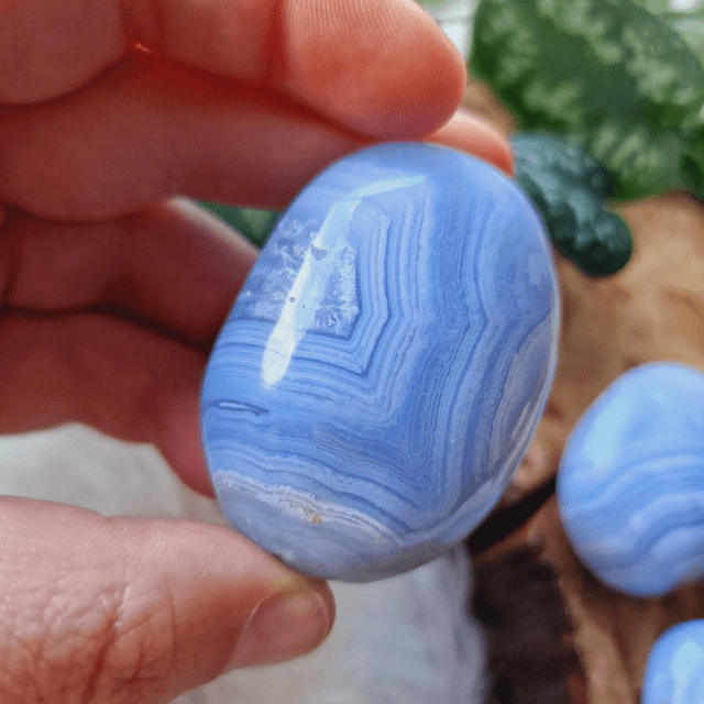 Blue Lace Agate Palm 