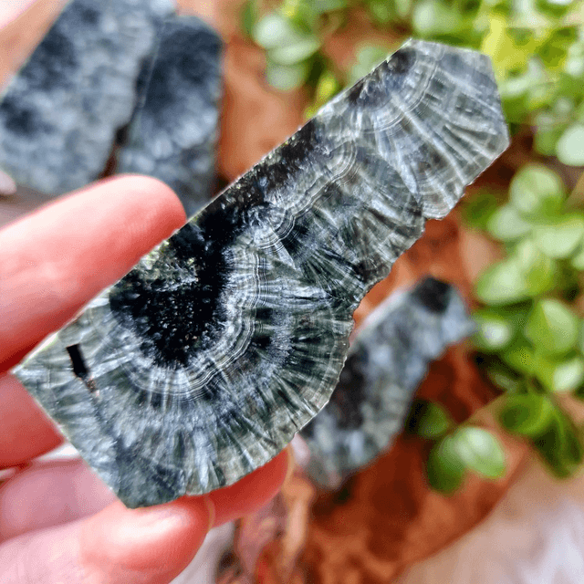 Seraphinite Point 