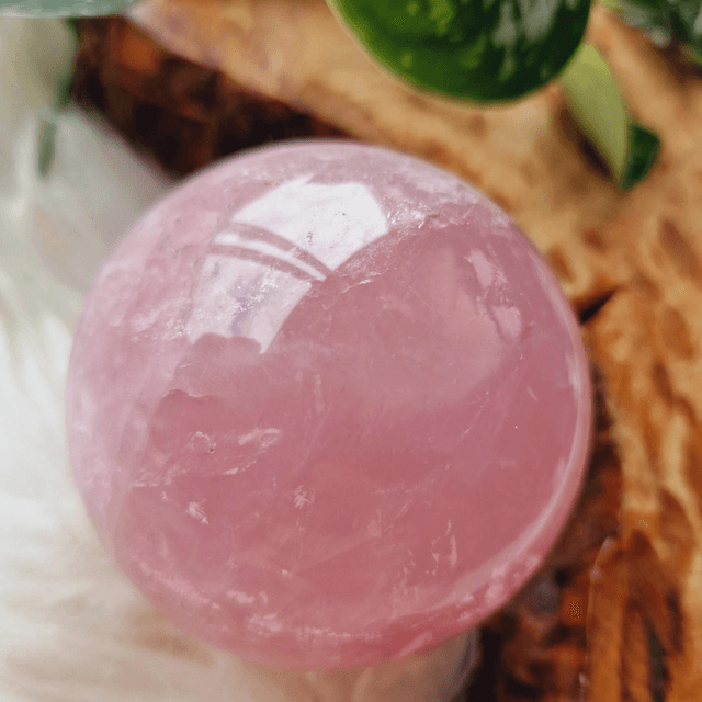 Rose Quartz Large Sphere 594g