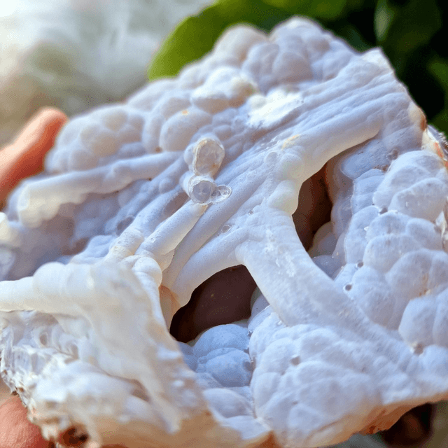 Agate Botryoidal Raw Specimen 