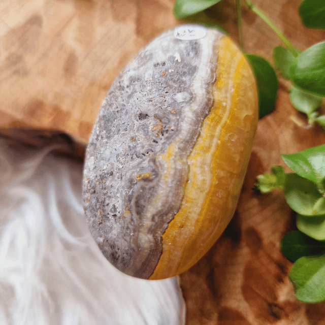 Bumblebee Jasper Palm 