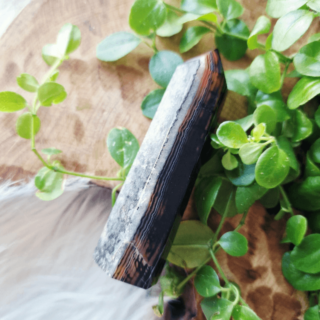 Sardonyx point 