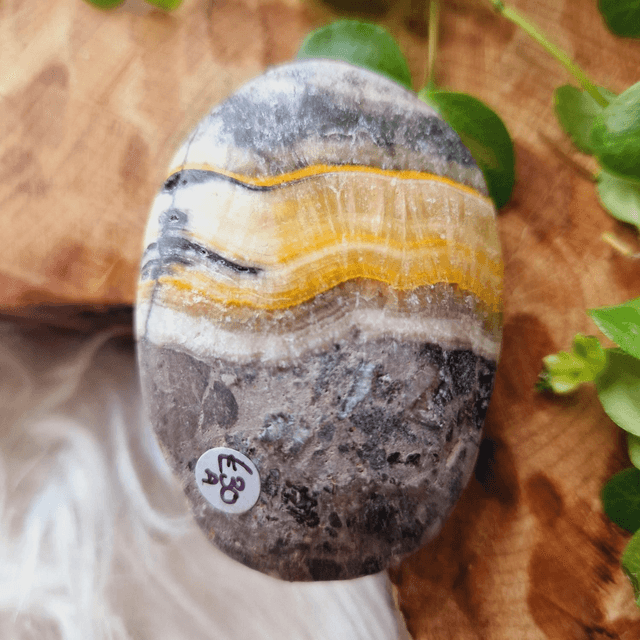 Bumblebee Jasper Palm 