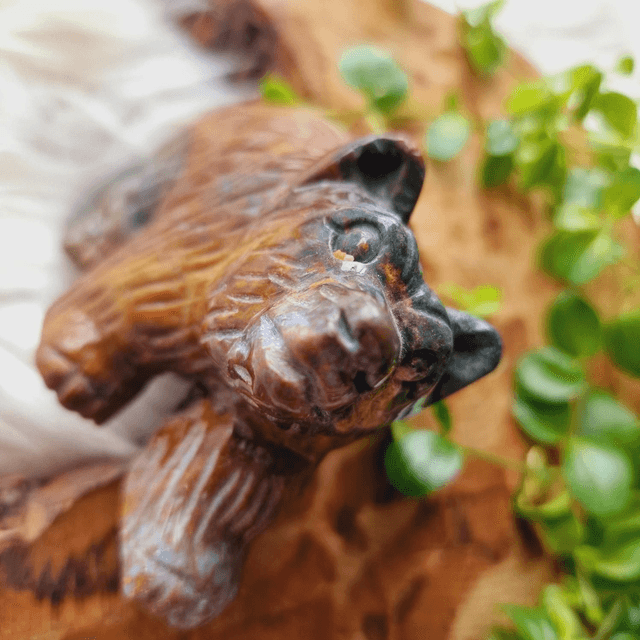 Ocean Jasper Bear 452g