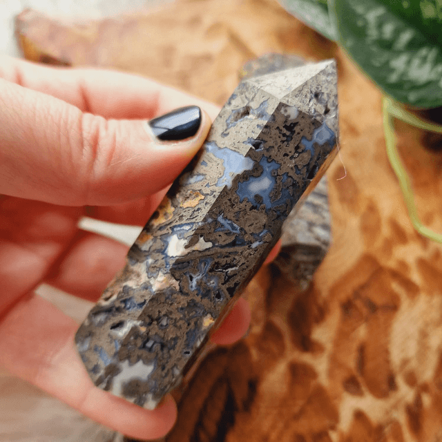 Moss and Pyrite Point 