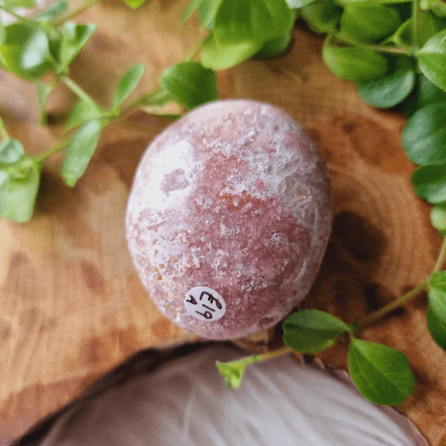 Pink Amethyst Palm