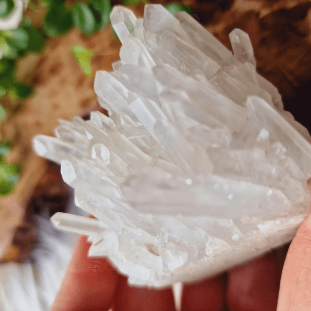Clear Quartz Cluster 308g