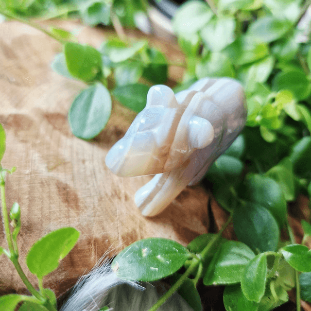 Agate Small Bear 