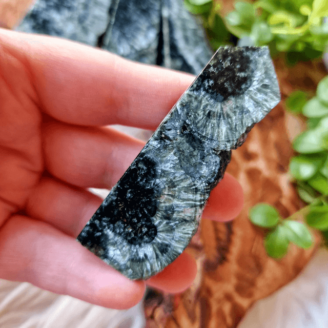Seraphinite Point 