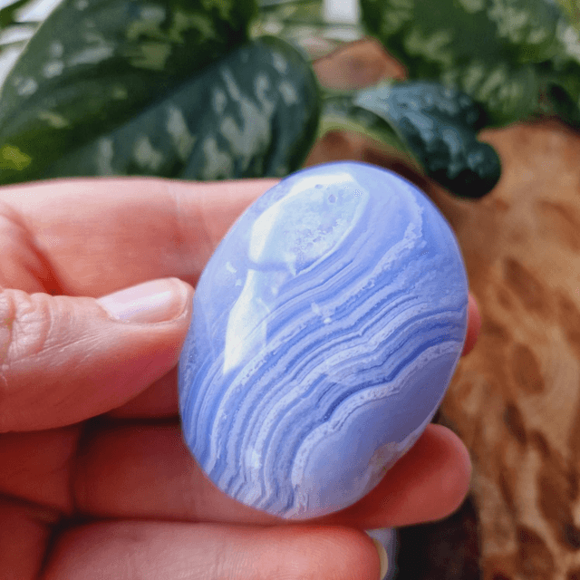 Blue Lace Agate Palm 