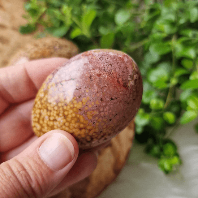 Orbicular Ocean Jasper palm