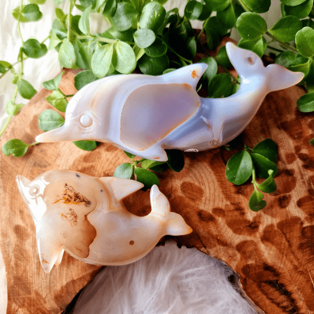 Agate Dolphin Carving 
