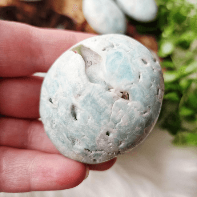 Blue Aragonite palm 